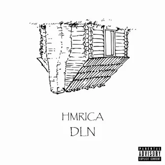 DLN by Hmrica