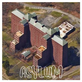 Asylum by BigBabyBuddha