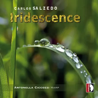 Iridescence by Antonella Ciccozzi