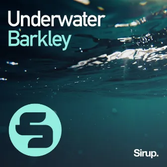 Underwater by Barkley