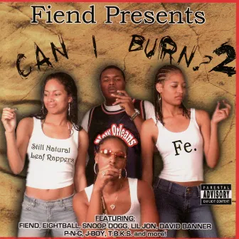 Can I Burn? 2 by Fiend