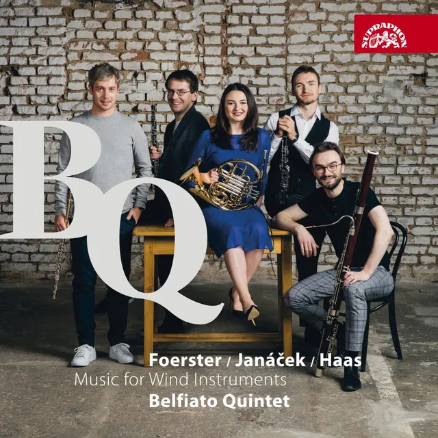 Wind Quintet in D Major, Op. 95: I. Allegro moderato