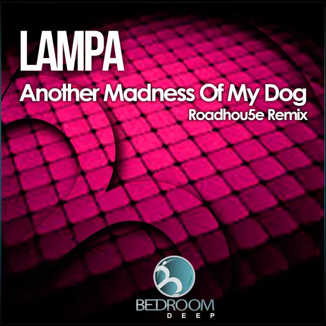 Another Madness Of My Dog - Roadhou5e Darknees Remix