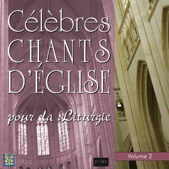 Célèbres chants d'église pour la liturgie, Vol. 2 by Unknown Artist