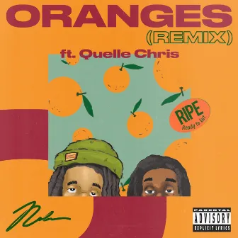 Oranges by Nolan The Ninja