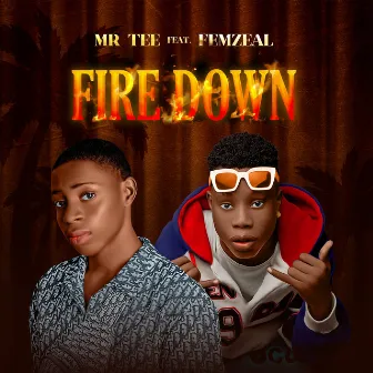 Fire Down by Mr Tee