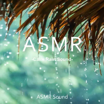 Calm Rain Sound (Study, Concentration, Exam, Healing, Meditation, Reading a Book) by ASMR Sound