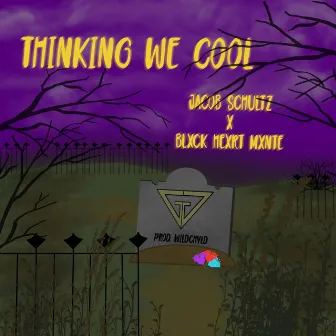 Thinking We Cool by Jacob Schultz