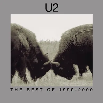 The Best Of 1990-2000 by U2