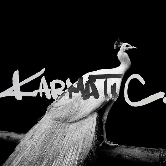 KARMATIC by DJ RENA