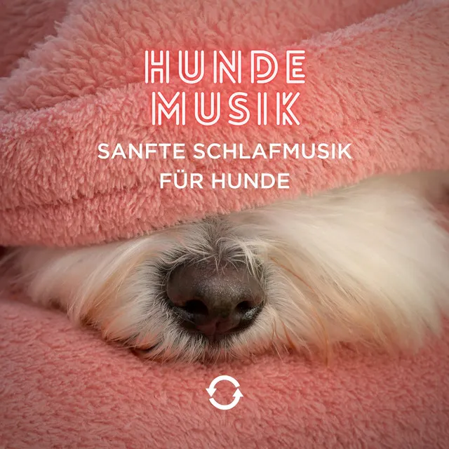 Sanfte Schlafmusik für Hunde