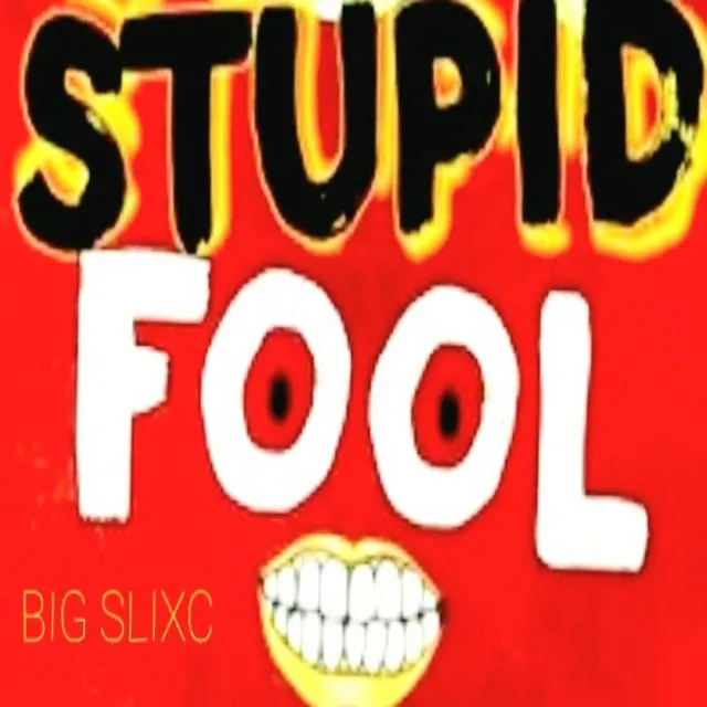 Stupid Fool