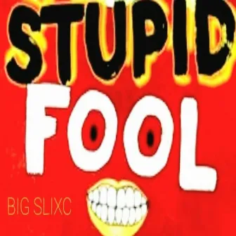 Stupid Fool by Big Slixc