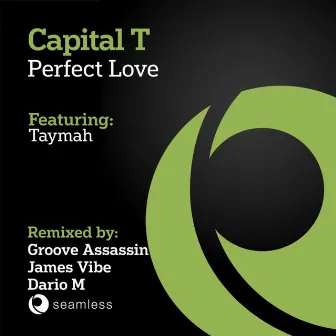 Perfect Love by Capital T