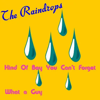 Kind of Boy You Can't Forget by The Raindrops