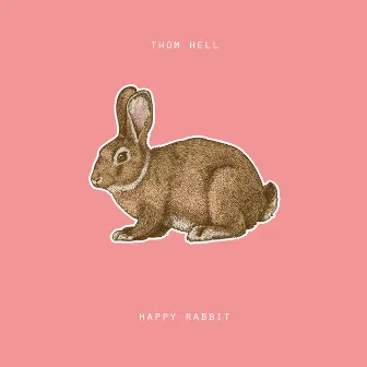 Happy Rabbit by Thom Hell