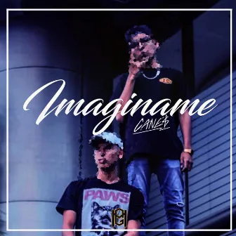 Imaginame by Canes