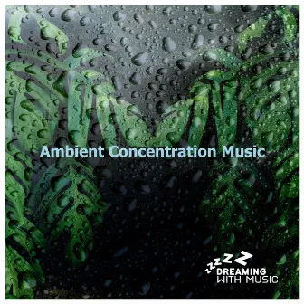 Ambient Concentration Music by Unknown Artist