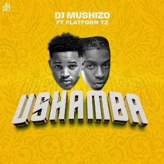 Ushamba by Dj Mushizo