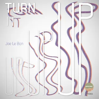 Turn It Up by Joe Le Bon