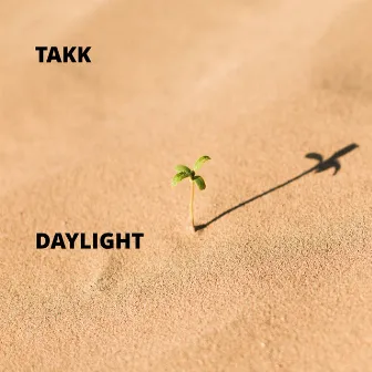 Daylight by Takk