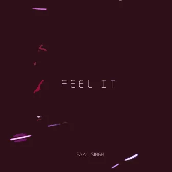 Feel It by Paal Singh