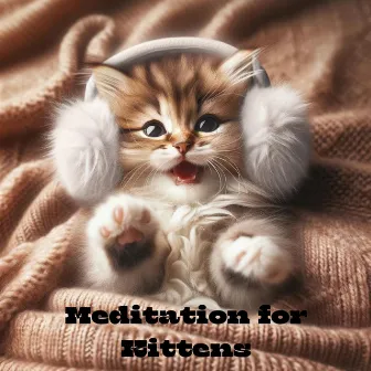 Meditation for Kittens by Cat Music!