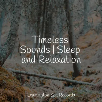 Timeless Sounds | Sleep and Relaxation by Soothing Baby Music