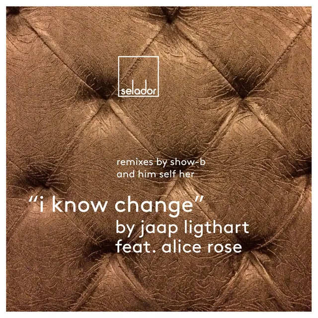 I Know Change - SHOW-B Remix