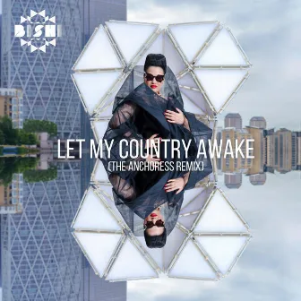 Let My Country Awake (The Anchoress Remix) by The Anchoress