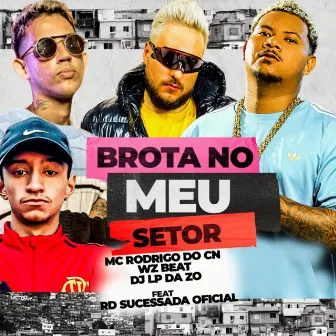 Brota no meu Setor by WZ Beat