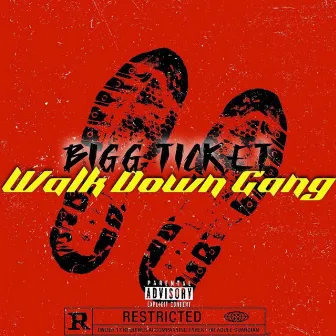 Walk Down Gang by Bigg Ticket