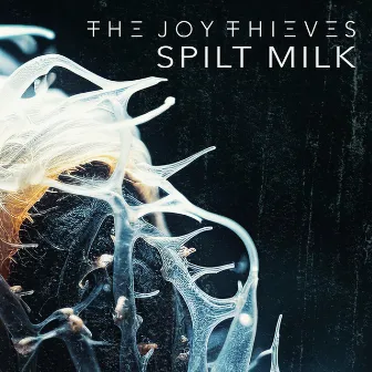 Spilt Milk by The Joy Thieves