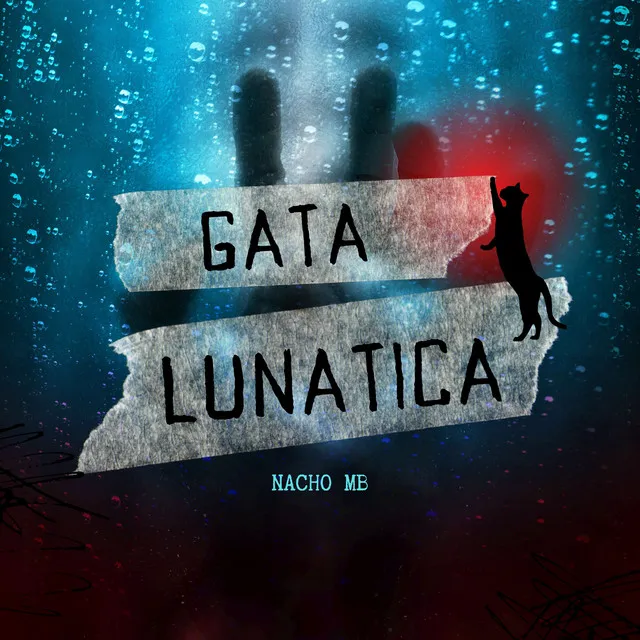 Gata Lunatica