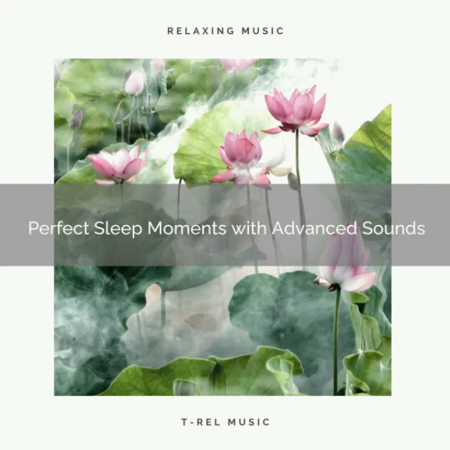 2020 Best: Perfect Sleep Moments with Advanced Sounds