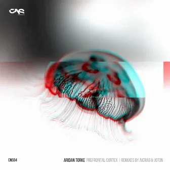 Prefrontal_Cortex EP by Aridan Torke