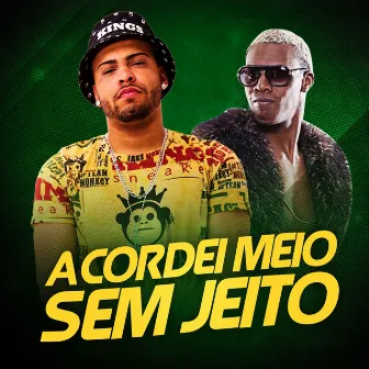 Acordei Meio Sem Jeito - Single by DJ Yuri Martins