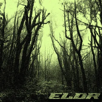 Eldr by Camel