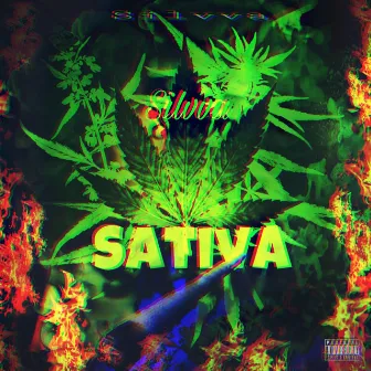 Sativa by Silvva