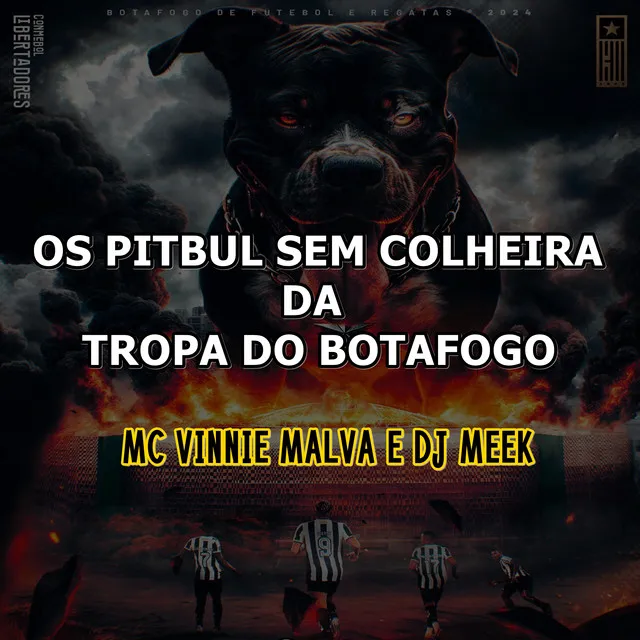 Os Pitbul Sem Colheira da Tropa do Botafogo