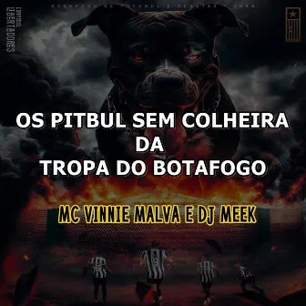 Os Pitbul Sem Colheira da Tropa do Botafogo by Mc Vinnie Malva