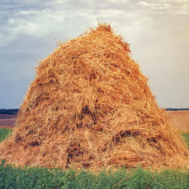 haystack