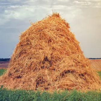 haystack by Shoelacebelt