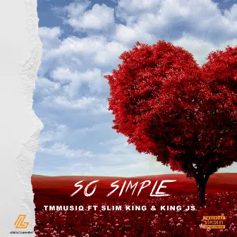 So Simple by Tmmusiq