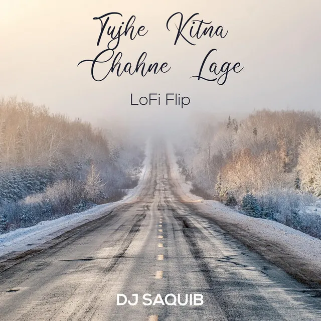 Tujhe Kitna Chahne Lage - LoFi Flip