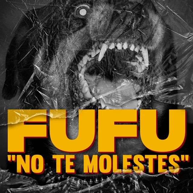 No Te Molestes