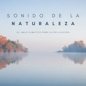 Sonido De La Naturaleza: El Agua Curativa Para La Relajación by Sonidos Naturales del Pajaro