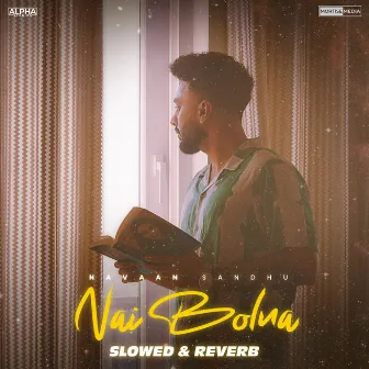 Nai Bolna (Slowed & Reverb) by JayB Singh