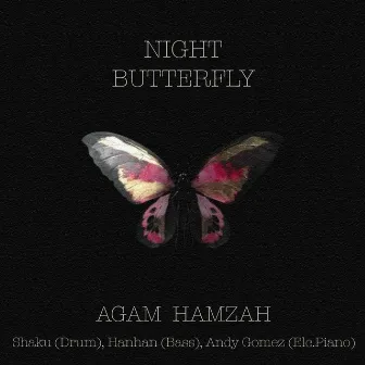 Night Butterfly by Agam Hamzah