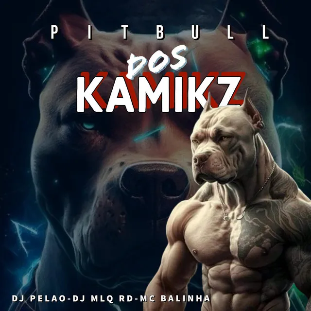 Pitbull dos Kamikz